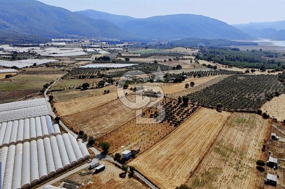SATILIK TARLA MENDERES DEĞİRMENDEREDE 8.573 m2 ASFALT YOLA SIFIR