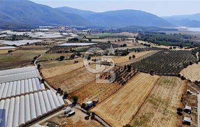 SATILIK TARLA MENDERES DEĞİRMENDEREDE 8.573 m2 ASFALT YOLA SIFIR