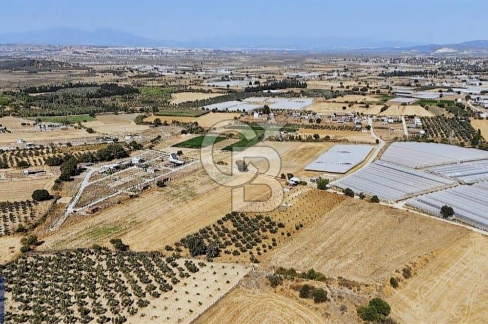 SATILIK TARLA MENDERES DEĞİRMENDEREDE 8.573 m2 ASFALT YOLA SIFIR