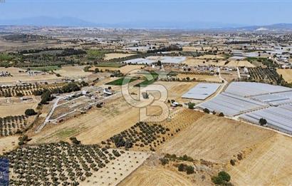 SATILIK TARLA MENDERES DEĞİRMENDEREDE 8.573 m2 ASFALT YOLA SIFIR