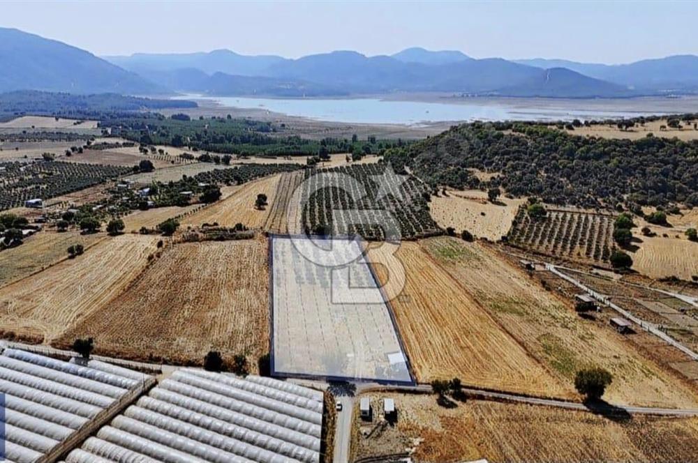SATILIK TARLA MENDERES DEĞİRMENDEREDE 8.573 m2 ASFALT YOLA SIFIR