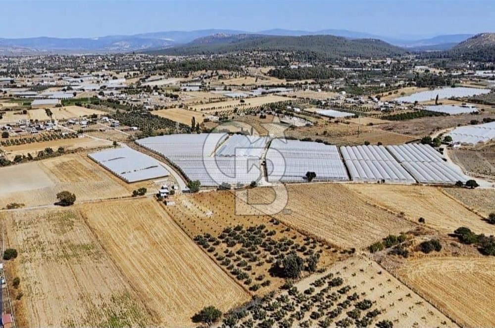 SATILIK TARLA MENDERES DEĞİRMENDEREDE 8.573 m2 ASFALT YOLA SIFIR