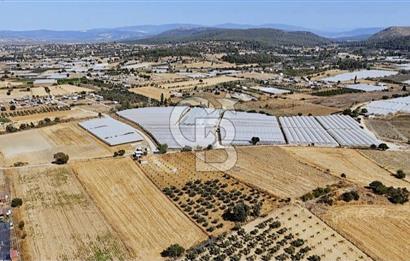 SATILIK TARLA MENDERES DEĞİRMENDEREDE 8.573 m2 ASFALT YOLA SIFIR