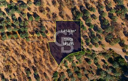 Datça Sındı'da Yatırımlık 1.458 m² Tarla