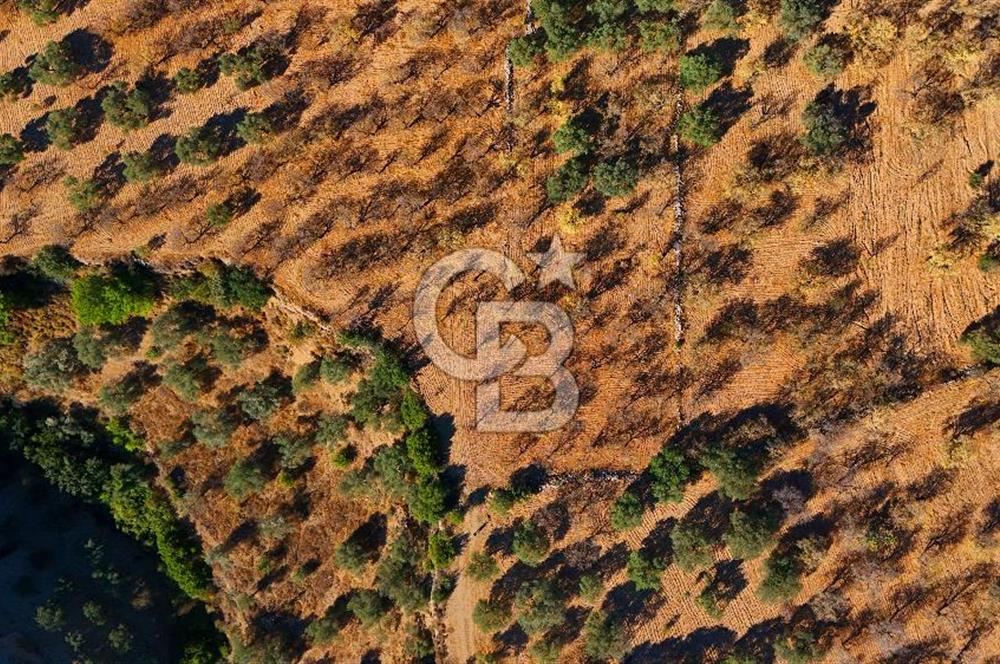 Datça Sındı'da Yatırımlık 1.458 m² Tarla