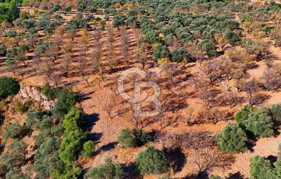 Datça Sındı'da Yatırımlık 1.458 m² Tarla