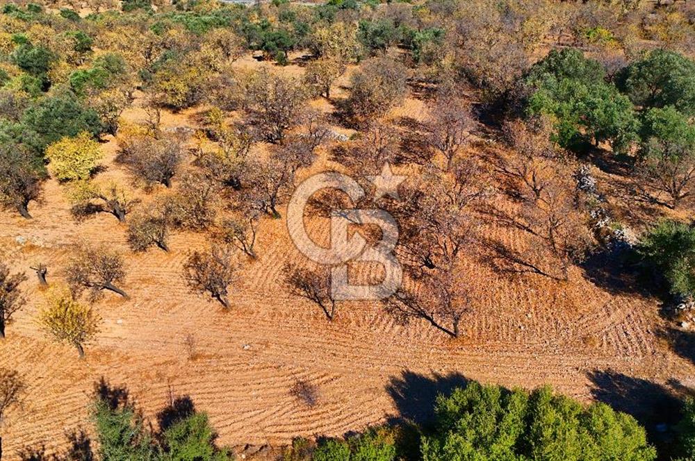 Datça Sındı'da Yatırımlık 1.458 m² Tarla