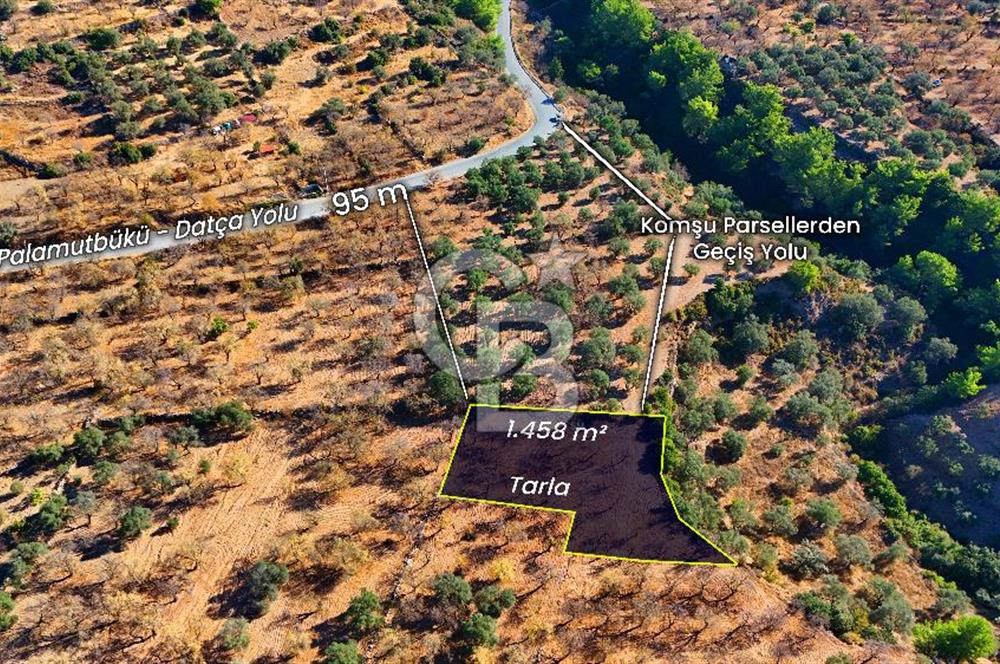 Datça Sındı'da Yatırımlık 1.458 m² Tarla