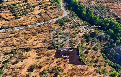 Datça Sındı'da Yatırımlık 1.458 m² Tarla