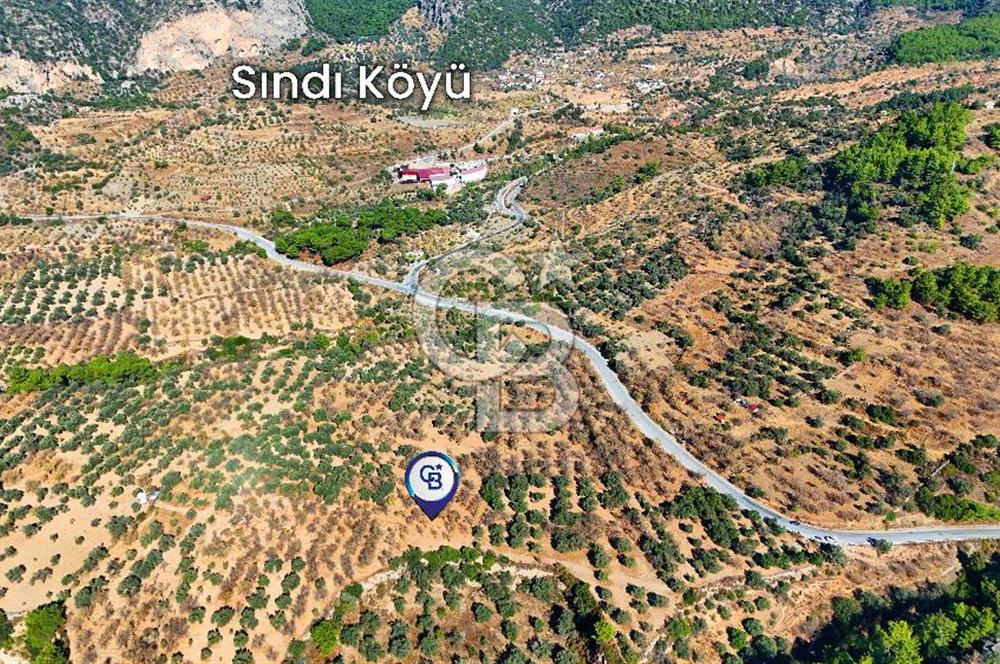 Datça Sındı'da Yatırımlık 1.458 m² Tarla