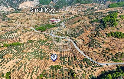 Datça Sındı'da Yatırımlık 1.458 m² Tarla