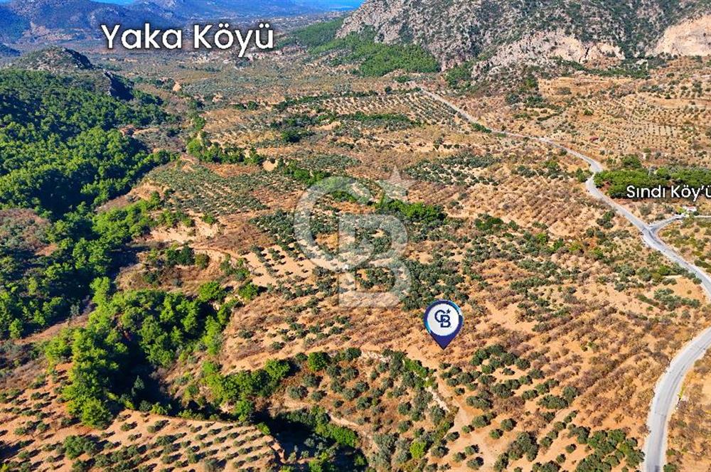 Datça Sındı'da Yatırımlık 1.458 m² Tarla