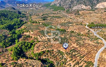 Datça Sındı'da Yatırımlık 1.458 m² Tarla