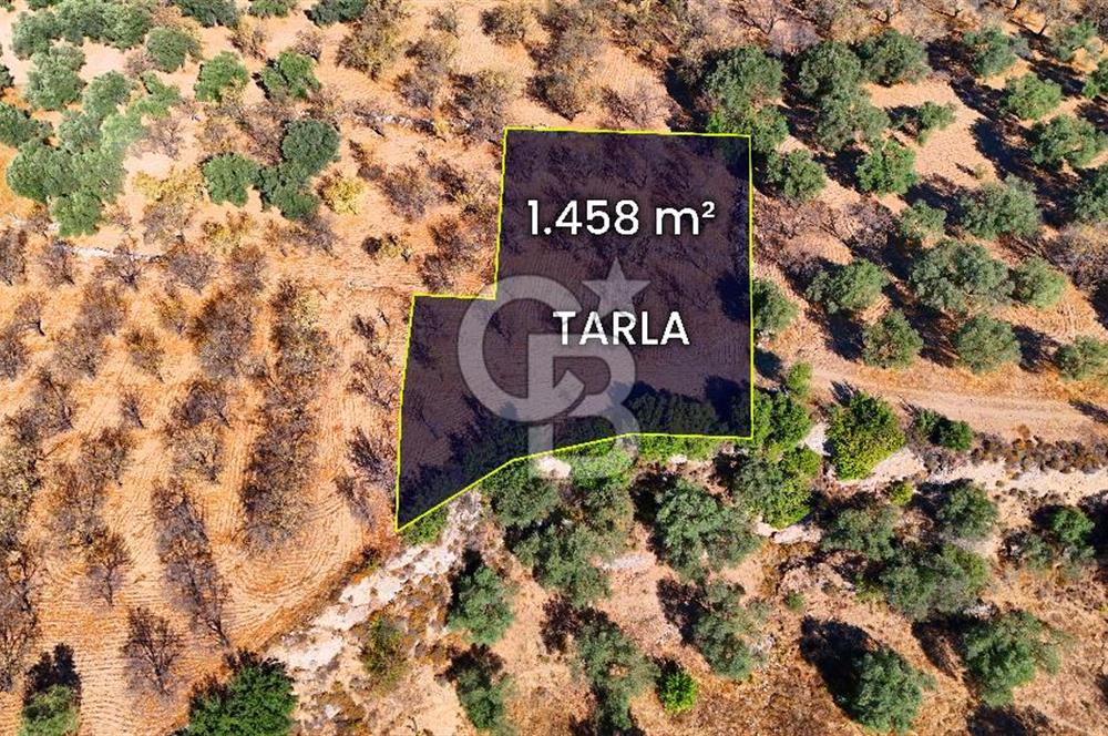 Datça Sındı'da Yatırımlık 1.458 m² Tarla