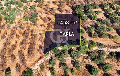 Datça Sındı'da Yatırımlık 1.458 m² Tarla