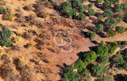 Datça Sındı'da Yatırımlık 1.458 m² Tarla