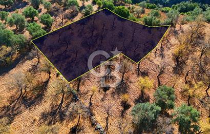 Datça Sındı'da Yatırımlık 1.458 m² Tarla