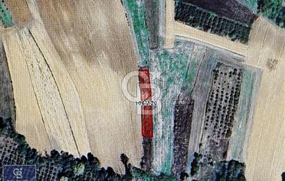 KOCAELİ KANDIRA SÜLLÜ'DE İMAR'A ÇOK YAKIN SATILIK 764 M2 TARLA