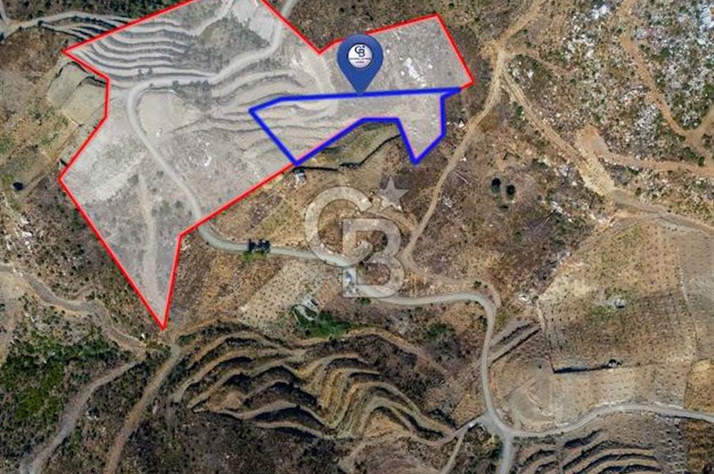 Muğla Köyceğiz Pınar da Satılık 3.3 Dönüm Tarla