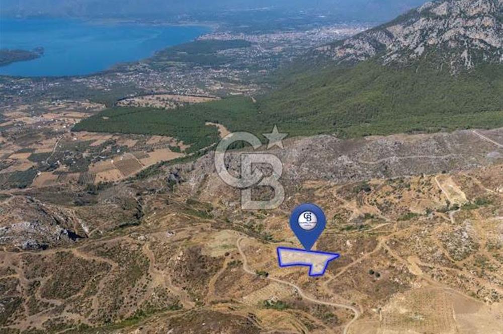 Muğla Köyceğiz Pınar da Satılık 3.3 Dönüm Tarla