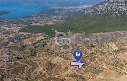 Muğla Köyceğiz Pınar da Satılık 3.3 Dönüm Tarla
