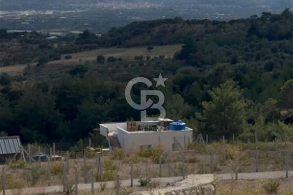 Kemalpaşa çambelli sögütlü 497 metkare arsa