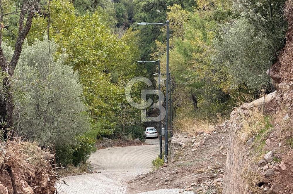 HOMEROS VADESİNDE SATILIK 948 METREKARE ZEYTİNLİK