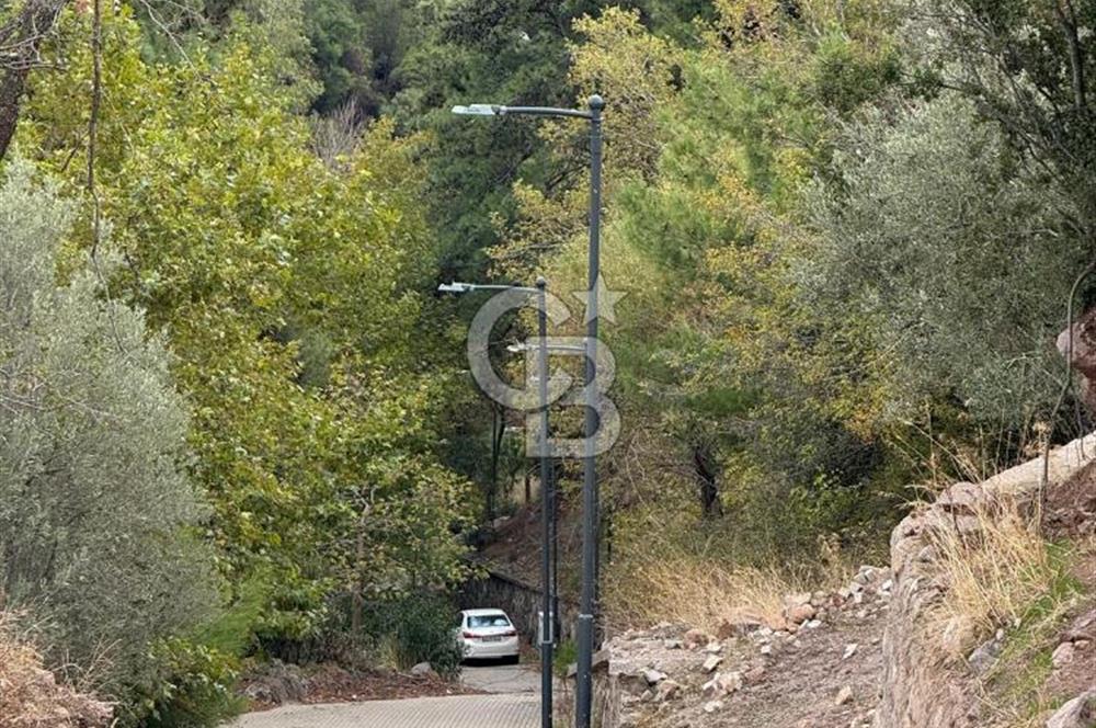 HOMEROS VADESİNDE SATILIK 948 METREKARE ZEYTİNLİK
