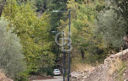 HOMEROS VADESİNDE SATILIK 948 METREKARE ZEYTİNLİK