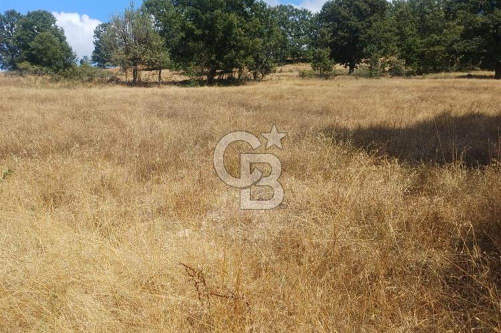 Durusnbeyde yatirimlik firsat arazi