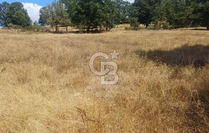 Durusnbeyde yatirimlik firsat arazi