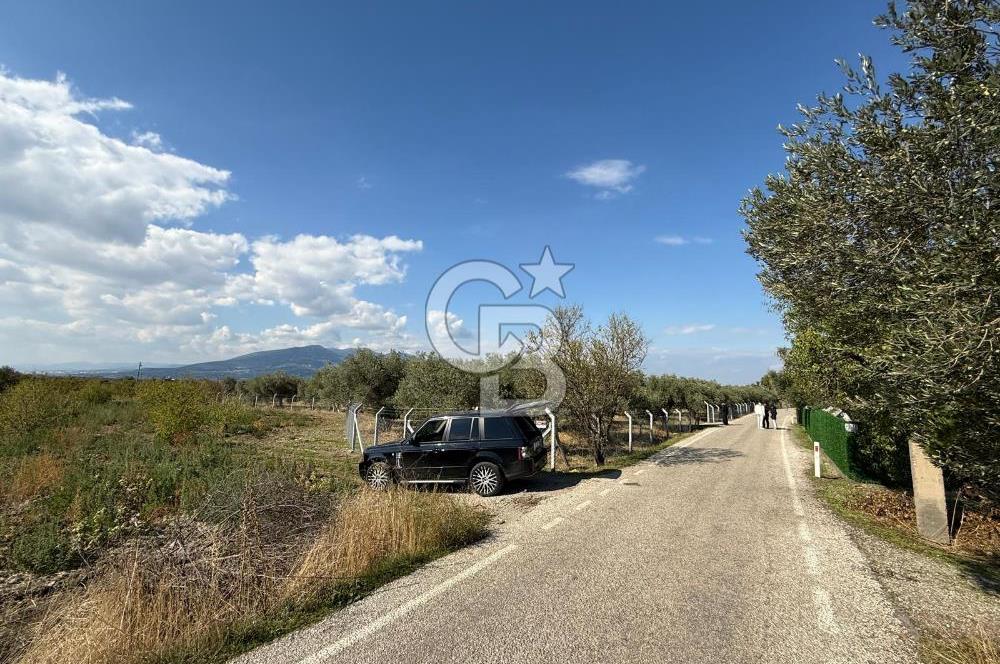 KEMALPAŞA ÖRENDE 4162 METRE KARE SATILIK BAĞ-BAHÇE