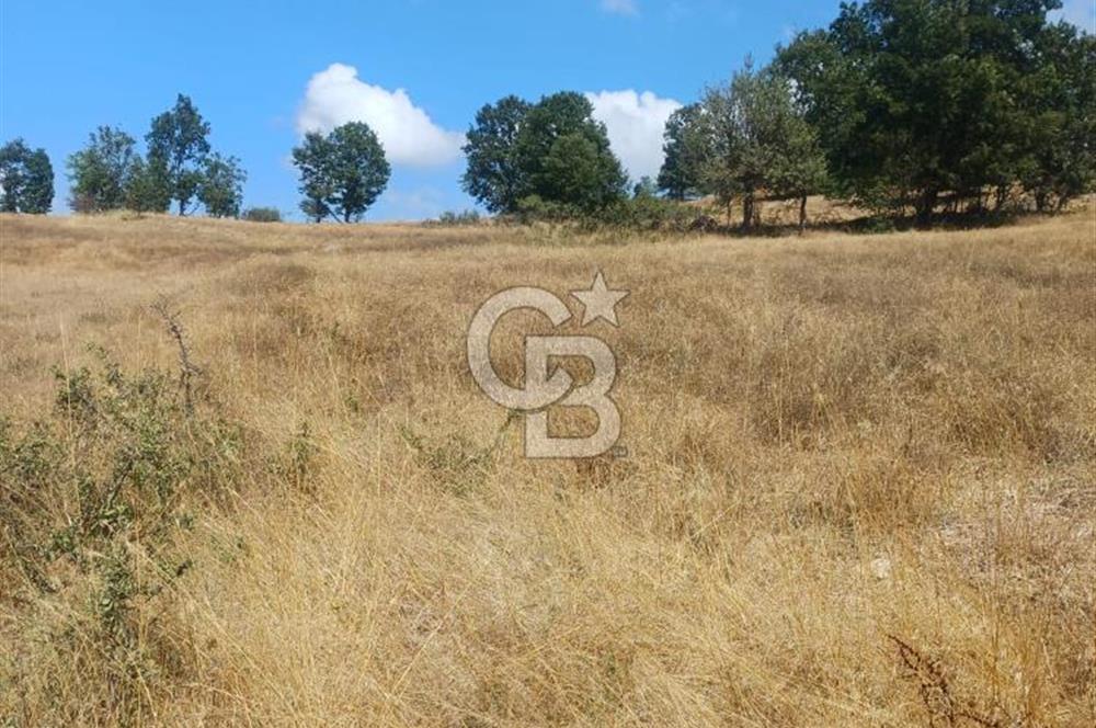 Durusnbeyde yatirimlik firsat arazi