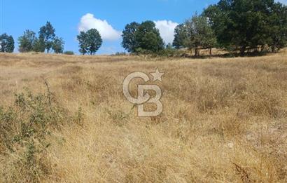 Durusnbeyde yatirimlik firsat arazi