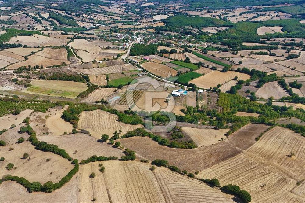 Çanakkale Biga Çeltik Köyünde 20.900 m2 Satılık Fırsat Tarla !