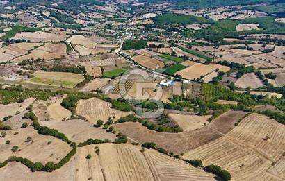 Çanakkale Biga Çeltik Köyünde 20.900 m2 Satılık Fırsat Tarla !