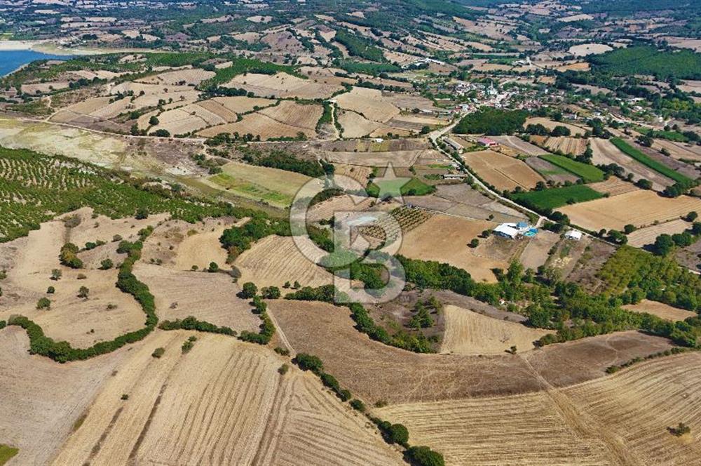 Çanakkale Biga Çeltik Köyünde 20.900 m2 Satılık Fırsat Tarla !
