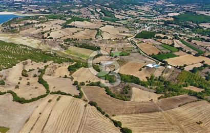 Çanakkale Biga Çeltik Köyünde 20.900 m2 Satılık Fırsat Tarla !