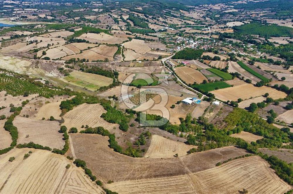 Çanakkale Biga Çeltik Köyünde 20.900 m2 Satılık Fırsat Tarla !