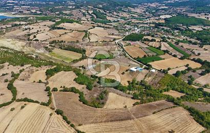 Çanakkale Biga Çeltik Köyünde 20.900 m2 Satılık Fırsat Tarla !