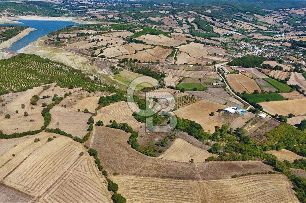 Çanakkale Biga Çeltik Köyünde 20.900 m2 Satılık Fırsat Tarla !