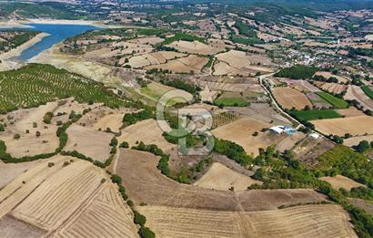 Çanakkale Biga Çeltik Köyünde 20.900 m2 Satılık Fırsat Tarla !