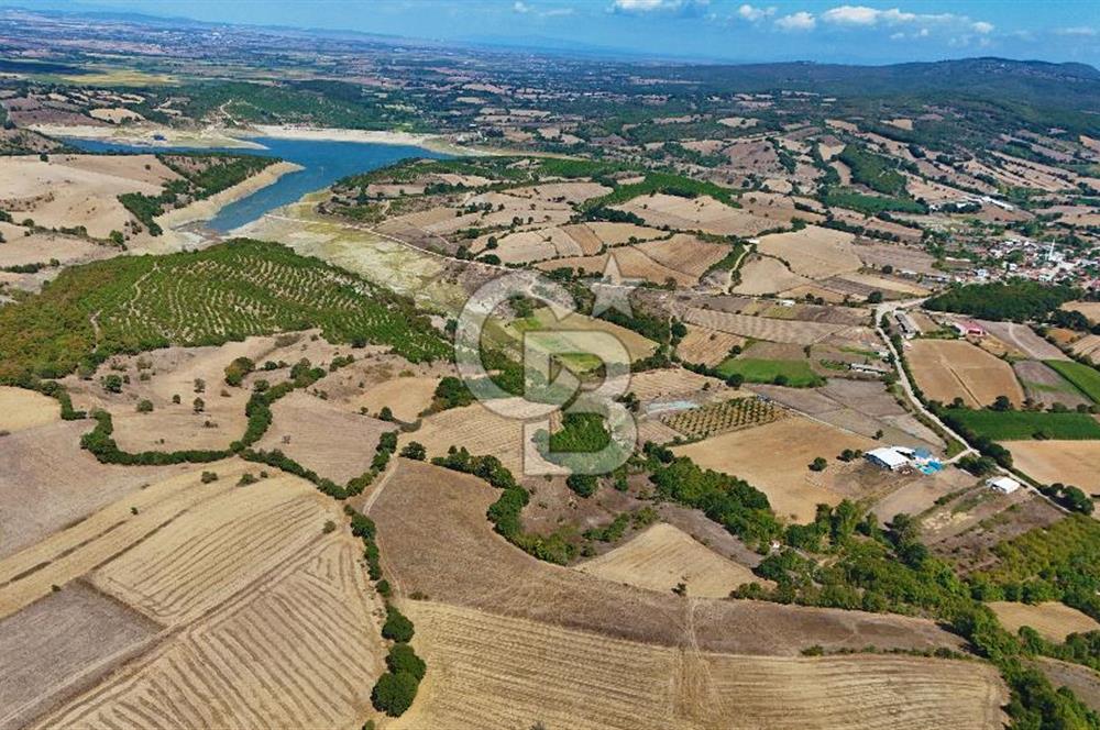 Çanakkale Biga Çeltik Köyünde 20.900 m2 Satılık Fırsat Tarla !