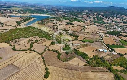 Çanakkale Biga Çeltik Köyünde 20.900 m2 Satılık Fırsat Tarla !