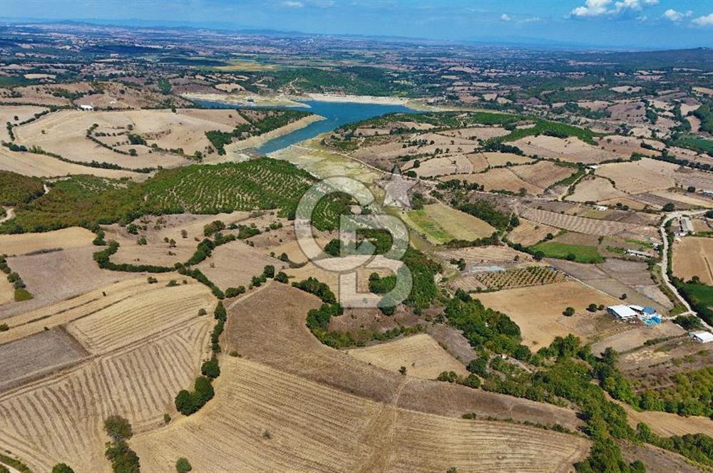 Çanakkale Biga Çeltik Köyünde 20.900 m2 Satılık Fırsat Tarla !