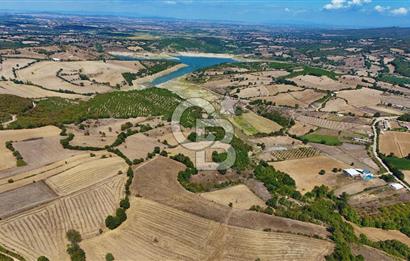 Çanakkale Biga Çeltik Köyünde 20.900 m2 Satılık Fırsat Tarla !