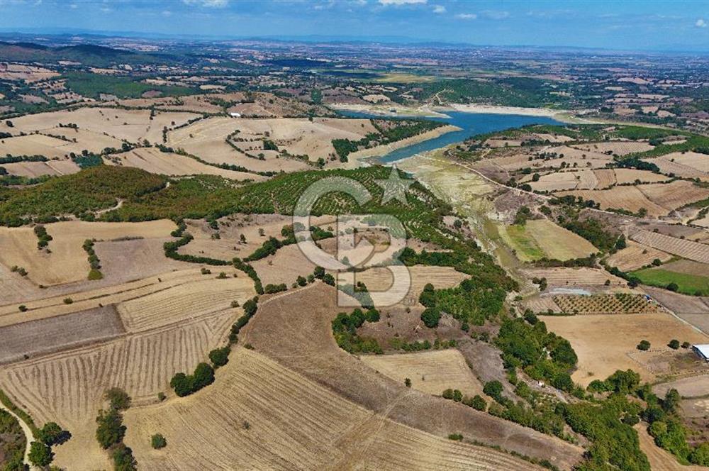 Çanakkale Biga Çeltik Köyünde 20.900 m2 Satılık Fırsat Tarla !