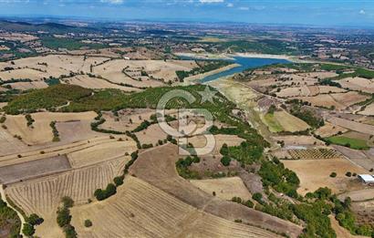 Çanakkale Biga Çeltik Köyünde 20.900 m2 Satılık Fırsat Tarla !