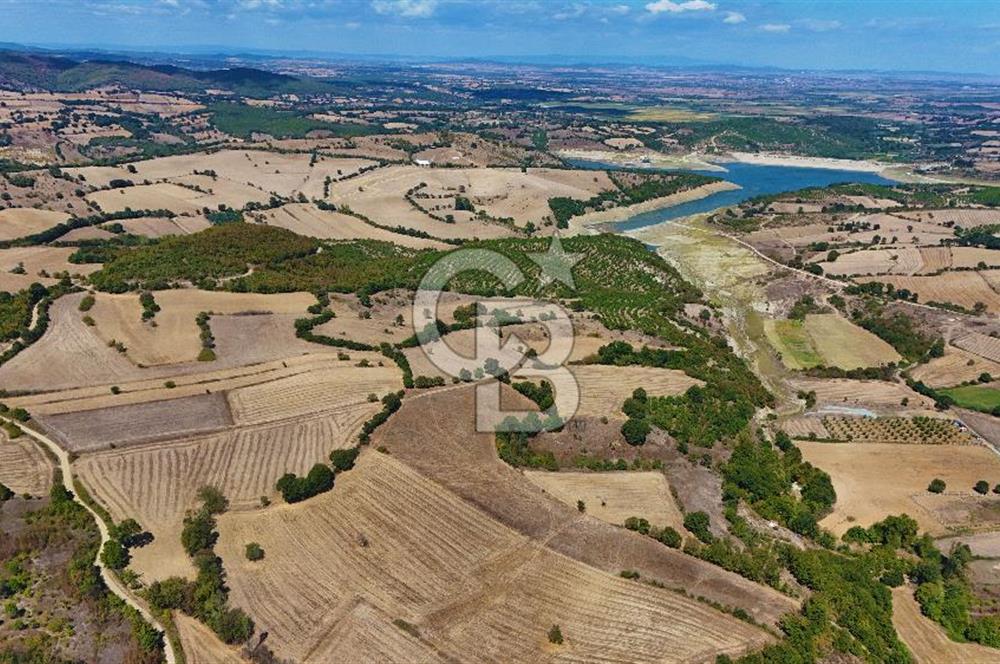 Çanakkale Biga Çeltik Köyünde 20.900 m2 Satılık Fırsat Tarla !