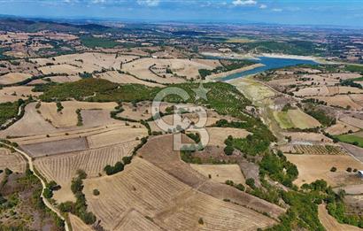 Çanakkale Biga Çeltik Köyünde 20.900 m2 Satılık Fırsat Tarla !